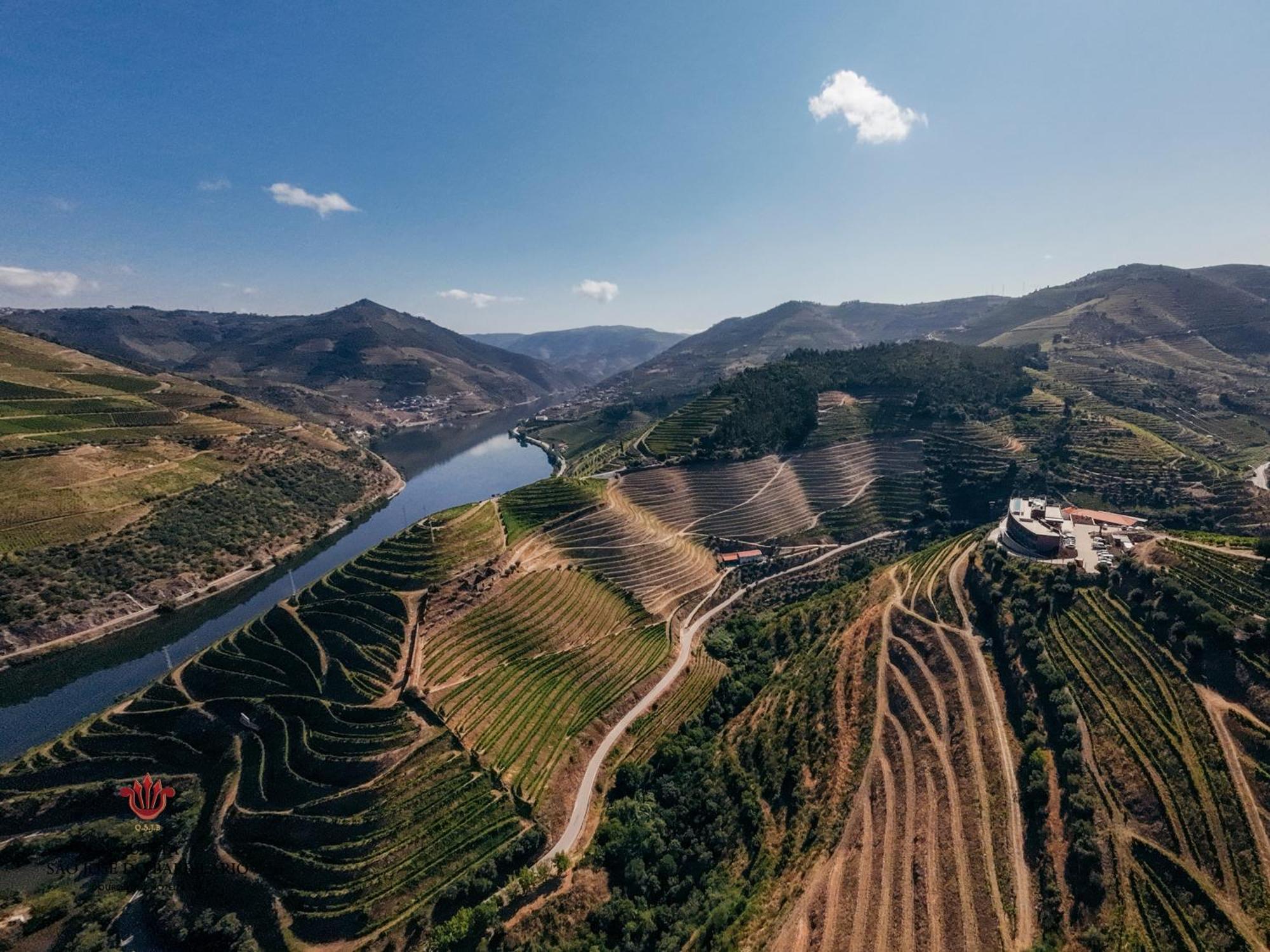 Barrilario Douro Wine Hotel E Spa - Quinta Sao Jose Do Barrilario Армамар Экстерьер фото